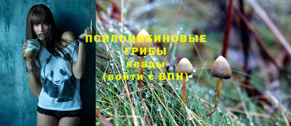прущие крисы Абинск