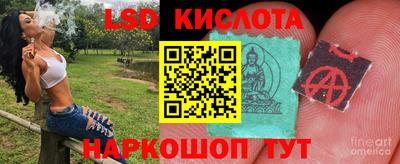 ALPHA PVP Малоярославец