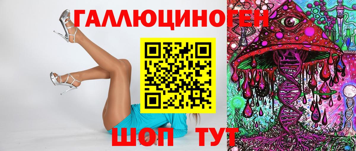 Галлюциногенные грибы Psilocybine cubensis Каменка