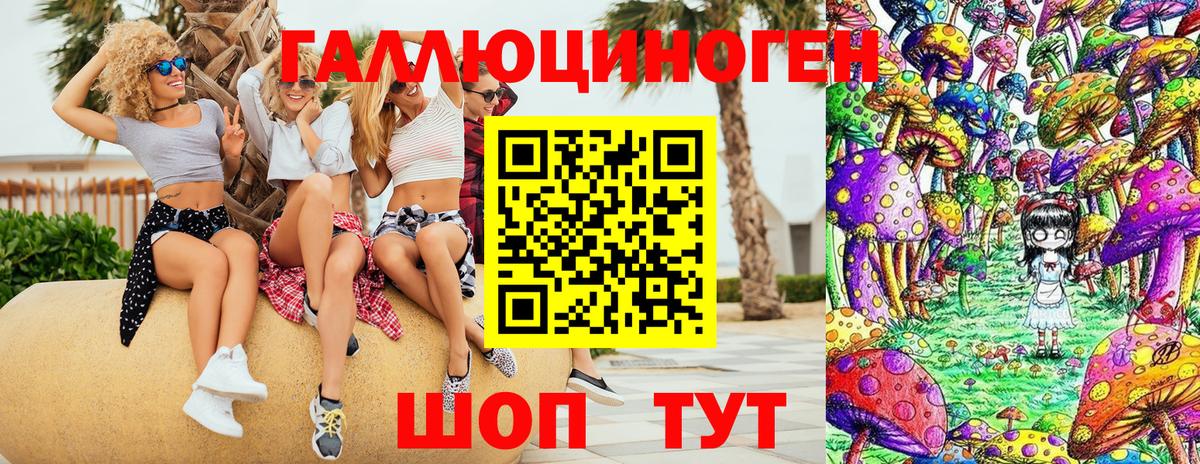 Каменка  даркнет сайт  Вход с VPN  Галлюциногенные грибы Psilocybine cubensis 